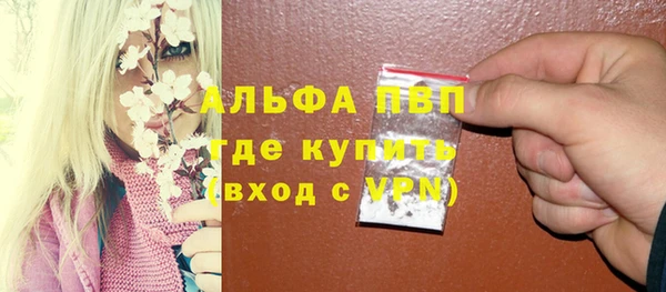 индика Сафоново