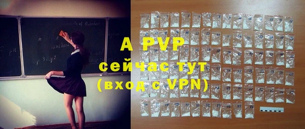 a pvp Няндома