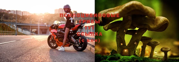 синтетический гашиш Нязепетровск
