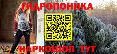 мяу мяу мука Абакан