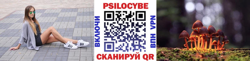 Псилоцибиновые грибы мухоморы  купить  сайты  Красный Сулин 