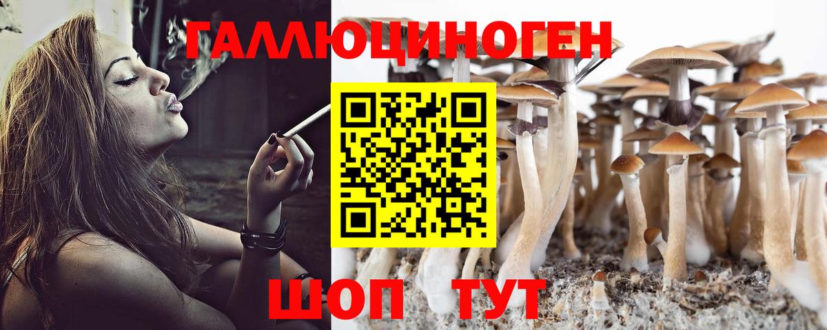 Красный Сулин  Псилоцибиновые грибы мицелий  Вход с VPN 