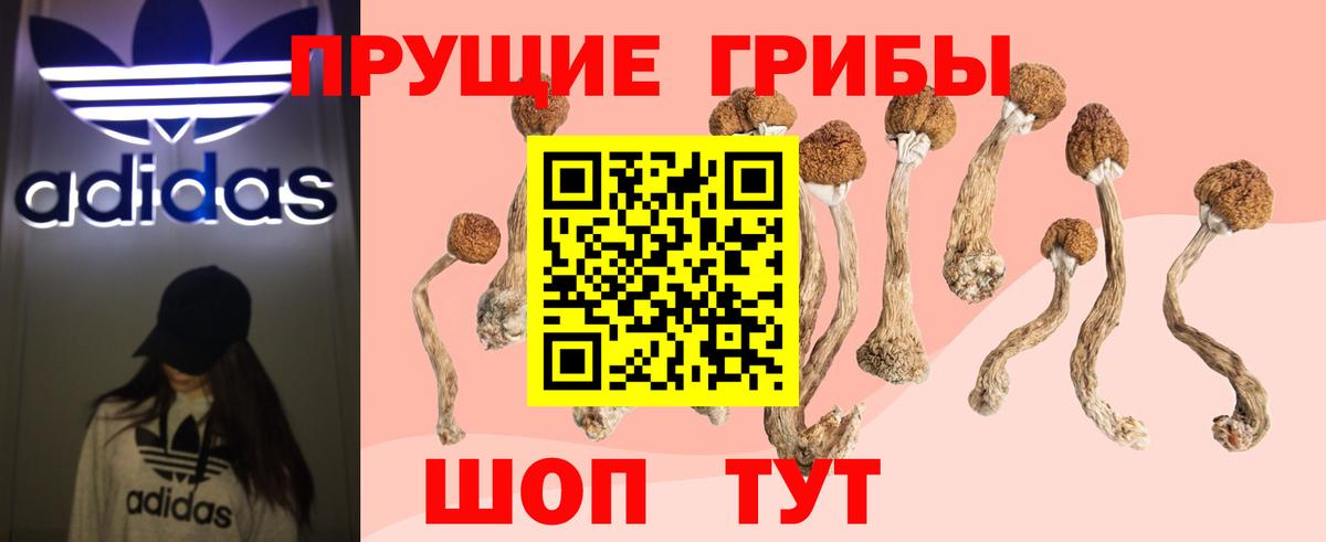Псилоцибиновые грибы Magic Shrooms Красный Сулин